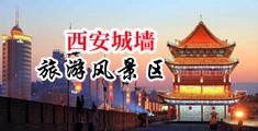 艹小骚逼网站中国陕西-西安城墙旅游风景区